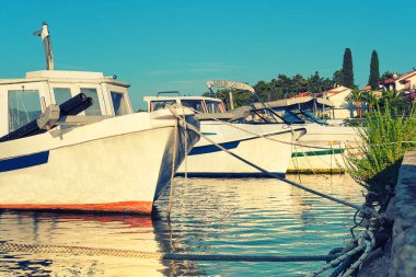 Hvar Adası, Dalmaçya, Hırvatistan ve Avrupa 'daki Vrboska köyünde balıkçı ve yolcu tekneleri ve evler.