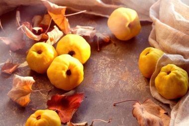 Olgun Japon ayva meyvesi ve keten kulesine yakın plan. Sonbahar aroması, doğal sonbahar renkleri.