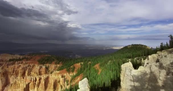 ドローンは松で覆われた峡谷の上の雲に接近する アメリカ ユタ州シオン国立公園 — ストック動画