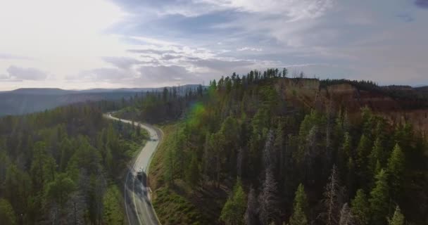 ドローンは晴れた日に高速道路と緑の松に沿って白いキャラバンの後ろに移動します シオン国立公園 ユタ州 アメリカ — ストック動画