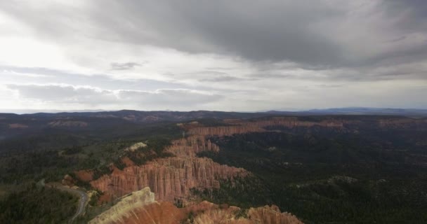 Hava Aracı Kamerası Bulutlu Bir Günde Karanlık Çam Ormanı Karayolu — Stok video