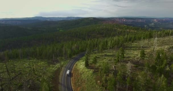 Drone Camera Moves Canyon Green Pine Forest Riding White Caravan — Stock Video