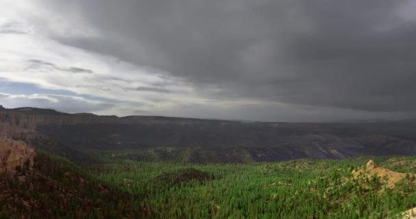 Cámara Aérea Mueve Sobre Una Cornisa Bosque Pinos Fondo Garganta — Vídeos de Stock