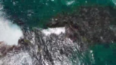 Okyanus dalgalarındaki bir grup deniz kaplumbağasının yukarıdan aşağı görüntüsü, Kauai, Hawaii, ABD 'deki siyah kaya.