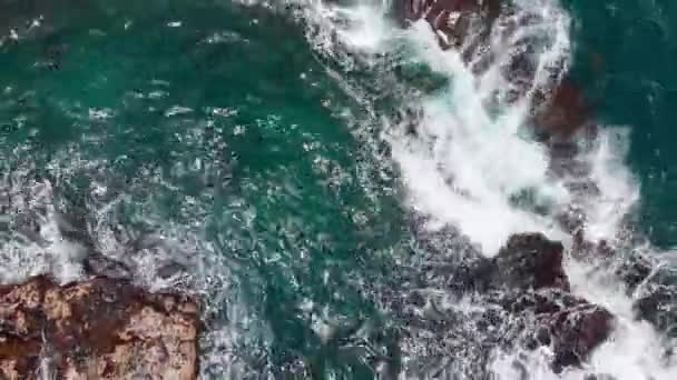 Top-down utsikt över azurblå havsvågor skumma och slå mot stenstranden, havssköldpaddor simmar i närheten Kauai, Hawaii, USA — Stockvideo