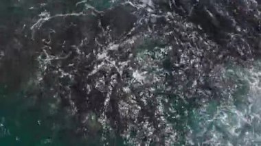 Okyanus dalgaları ve köpüklerin yukarıdan görünüşü, deniz kaplumbağaları suda yüzüyor Kauai, Hawaii, ABD 