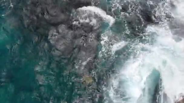 Luftkamera fängt Schildkröten in den blauen Wellen des Ozeans nahe der Steinküste von Kauai, Hawaii, USA ein