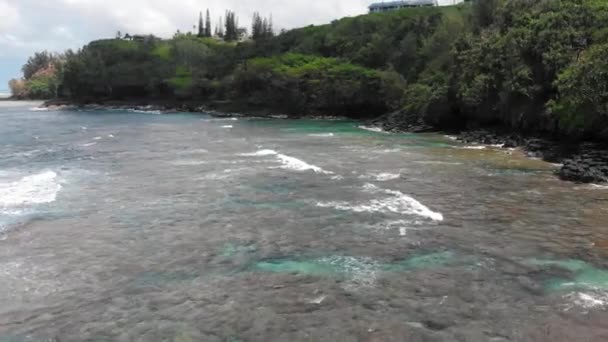 İnsansız hava aracı kamerası Kauai, Hawaii, ABD 'deki kayalık okyanus kıyısında gizli bir mağara girişi keşfetti. — Stok video