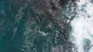 Kauai, Hawaii, ABD 'deki mavi okyanus dalgalarındaki bir grup kaplumbağanın hava görüntüleri.