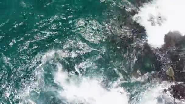 Drone κάμερα κινείται μακριά από θαλάσσιες χελώνες που επιπλέουν στα τιρκουάζ κύματα του ωκεανού στο Kauai, Χαβάη, ΗΠΑ — Αρχείο Βίντεο