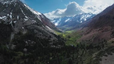 Hava aracı, Yosemite, California, ABD 'deki Olsen Dağı yakınlarındaki ormana yavaşça iniyor.