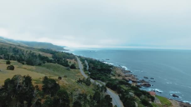 Flygbilder av en väg, en stenig havskust, vågor, träd, dimma i Garrapata, Kalifornien, USA — Stockvideo