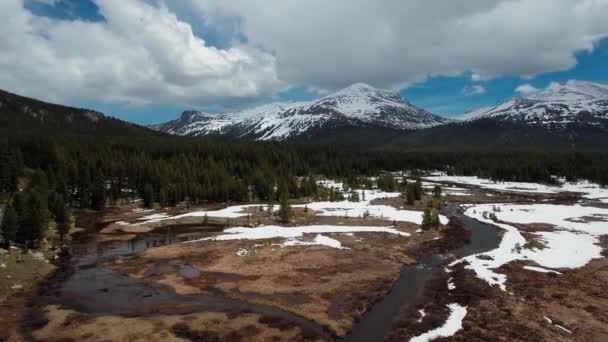 ドローンは、米国カリフォルニア州ヨセミテのダナ山とギブス山の前の鬱蒼とした森から離れます — ストック動画