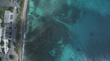 Bridgetown, Barbados 'ta kıyı şeridi manzarası, arabalar ve ağaçlar.