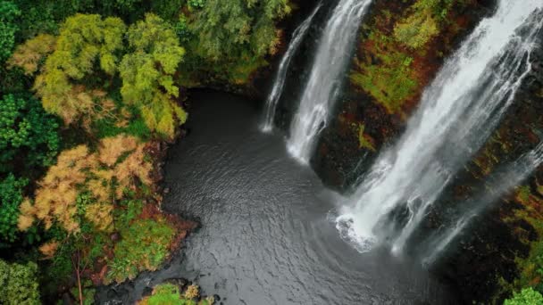 Vista de arriba hacia abajo del dron de una cascada de Opaekaa y del bosque otoñal en Kauai, Hawaii, USA — Vídeo de stock