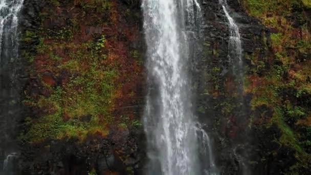 Une caméra aérienne de drone tire de l'eau tombant dans une chute d'Opaekaa à Kauai, Hawaï, États-Unis — Video