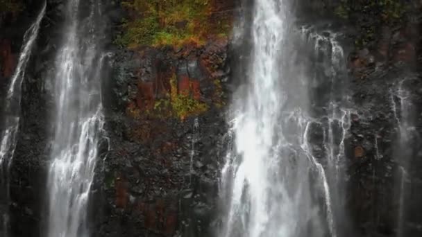 崖から落ちる水の空中映像, Opaekaa Falls, Kauai,ハワイ,アメリカ — ストック動画