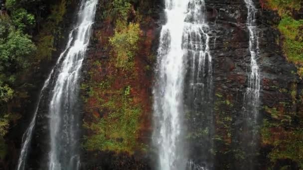 İnsansız hava aracı Opaekaa Falls, Kauai, Hawaii, ABD 'deki bir uçurumda yüksek bir şelalenin üzerinde yükseliyor. — Stok video