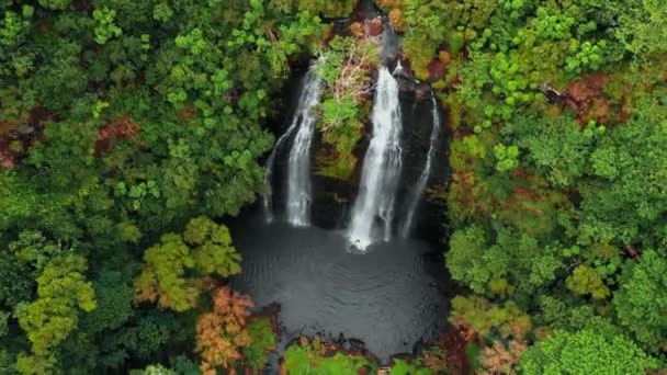 Drone s'éloigne d'une cascade de montagne dans une forêt d'automne, Opaekaa Falls, Kauai, Hawaï, États-Unis — Video