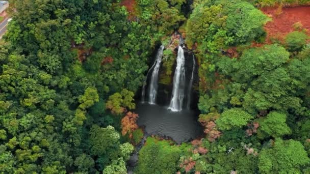 İnsansız hava aracı ormandaki bir şelaleden uzaklaşıyor, Opaekaa Falls, Kauai, Hawaii, ABD — Stok video