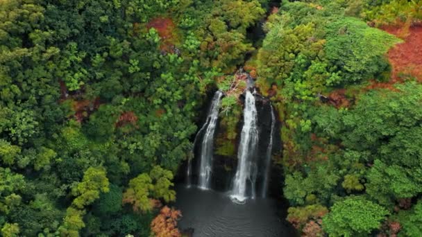 Opaekaa Şelalesi, Kauai, Hawaii, ABD 'deki yoğun bir ormanın arasındaki uçurumun üzerindeki bir şelalenin kuş bakışı görüntüsü. — Stok video