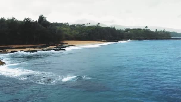 Kauai, Hawaii, ABD 'de yağmurlu bir günde yoğun bir orman ile hava kamerası yavaşça kumlu kıyıya yaklaşıyor. — Stok video
