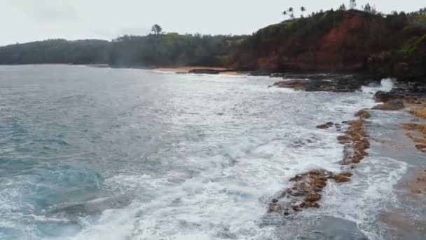 Kauai, Hawaii, ABD 'de yoğun kara ormanlı dalgaların ve kumlu kıyıların hava görüntüleri. — Stok video