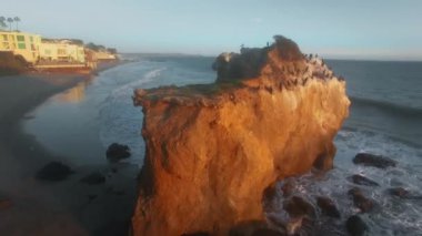 Hava kamerası karabatak ve martı sürüsünün üzerinden geçiyor. El Matador Beach, Malibu, California, ABD 'de bir uçurumda tüneme yapıyorlar.