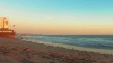 El Matador Beach, Malibu, Califronia, ABD 'deki sahilde yürüyen martının statik çekimi.