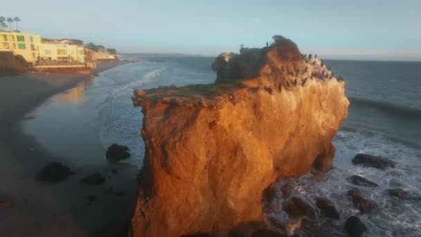 Повітряна камера рухається над зграєю бакланів і чайок, які відпочивають на скелі в Ель - Матадор - Біч (Малібу, Каліфорнія, США). — стокове відео