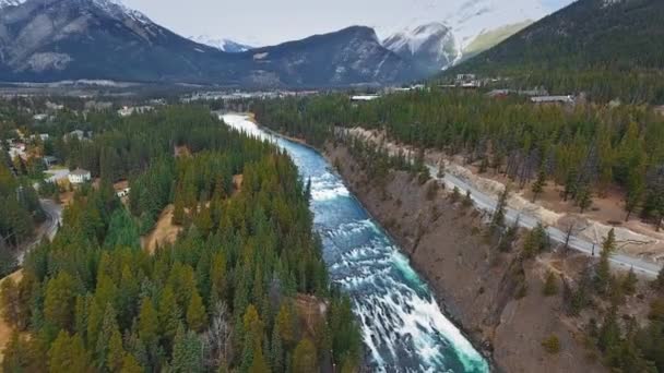 位于加拿大艾伯塔省班夫市的波尔河与树木覆盖的河岸一道流动的空中录像 — 图库视频影像