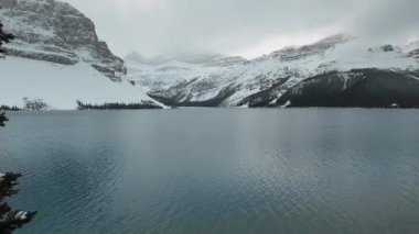 İnsansız hava aracı ağaçların arasında uçuyor ve Kanada Alberta 'daki Bow Lake ve karlı dağların muhteşem manzarasını gösteriyor.