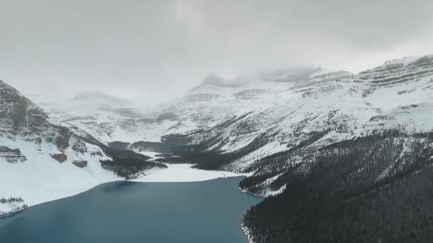 Drönare bilder av mörka skogsklädda kullar och snöiga klippor nära Bow Lake i Alberta, Kanada — Stockvideo