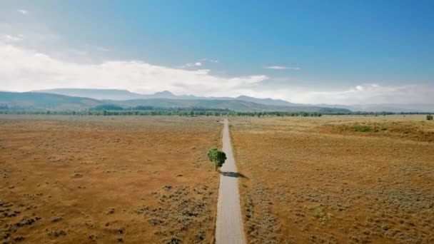 Drone vliegt over een lange rechte weg die over de brede prairie loopt naar de horizon bij Mormon Row, Wyoming, USA — Stockvideo