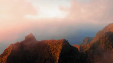 Waimea Kanyonu, Kauai, Hawaii 'deki orman tepeleri ve okyanusun üzerindeki hava görüntüleri.