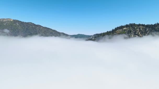 Dron Cierne Sobre Las Colinas Boscosas Vuela Derecha Las Nubes — Vídeo de stock