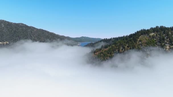 Vídeo aéreo de las estribaciones de montículos boscosos se están ahogando en las nubes en California, EE.UU. — Vídeo de stock