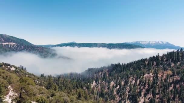 Drone filma un video sobre un valle forestal montañoso cubierto de nubes blancas en California, Estados Unidos — Vídeos de Stock