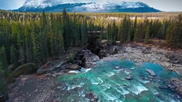 Drone Cattura Montagna Foresta Scogliera Athabaska Falls Sul Fiume Athabaska — Video Stock