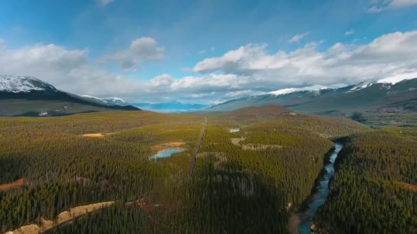 Imágenes Aéreas Camino Través Denso Bosque Coníferas Con Lago Río — Vídeo de stock