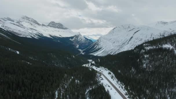 カナダのアルバータ州の針葉樹林で覆われた岩だらけの雪に覆われた山々のドローンショット — ストック動画