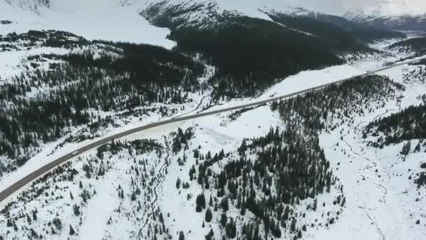 カナダのアルバータ州の雪に覆われた岩の山を通って黒い森の中の道路に沿って白い車が運転されます — ストック動画