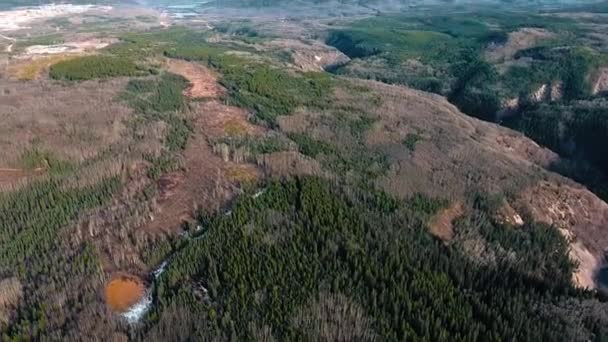 Drone Shoots Forest Cliff Mountains Town Distance Alberta Canada — Stock Video