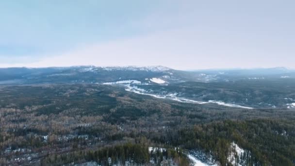 カナダのアルバータ州にある鬱蒼とした森 凍ったテッサ川 雪に覆われた山々の鳥の目の景色 — ストック動画