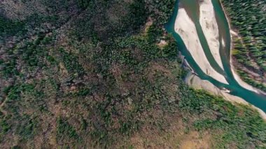 Yoğun bir ormanın ve Alberta, Kanada 'da küçük bir nehrin üç yolunun üzerindeki hava aracı görüntüsü