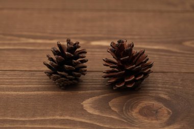 ahşap masa üzerinde izole pinecones