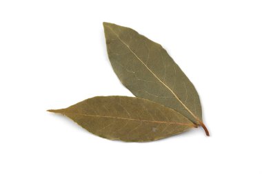 beyaz arka plan üzerinde izole defne laurier yaprağı