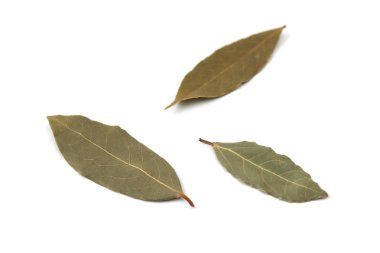 beyaz arka plan üzerinde izole defne laurier yaprağı