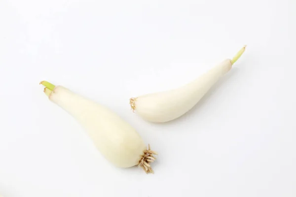 Bulbos crudos de puerro japonés cebolla china aislada sobre fondo blanco — Foto de Stock