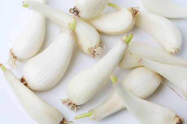 Bulbos crudos de puerro japonés cebolla china aislada sobre fondo blanco —  Fotos de Stock